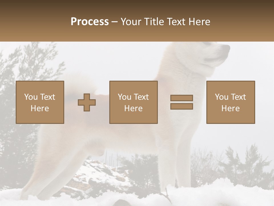 A Brown And White Dog Standing In The Snow PowerPoint Template
