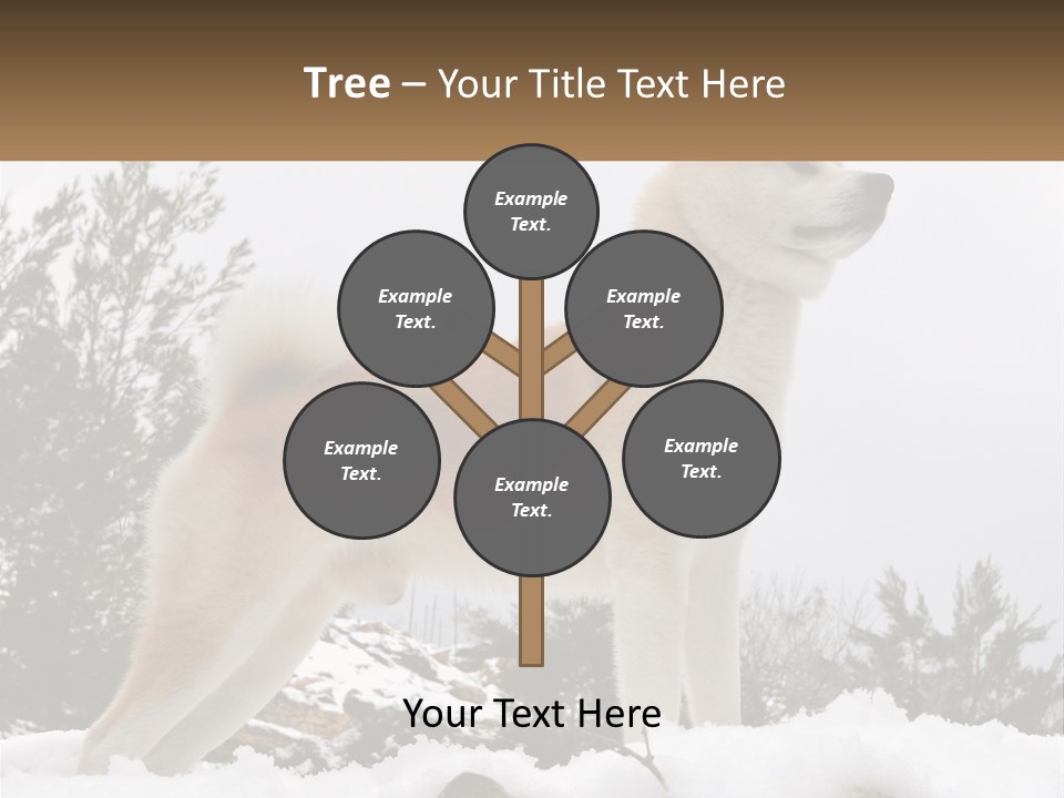 A Brown And White Dog Standing In The Snow PowerPoint Template