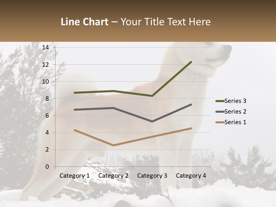 A Brown And White Dog Standing In The Snow PowerPoint Template