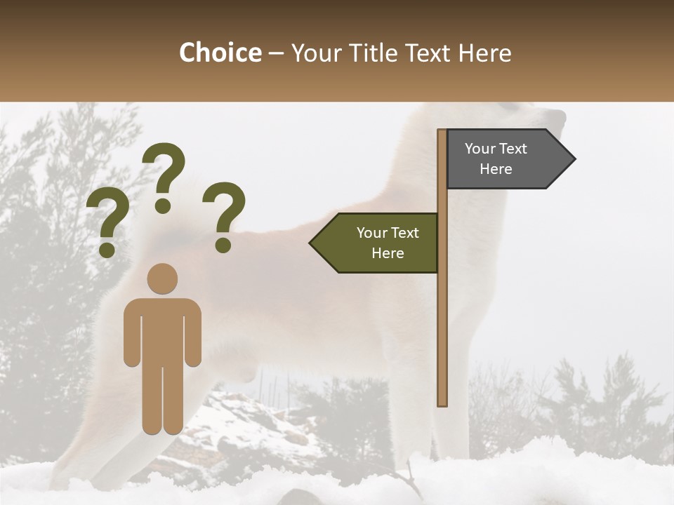 A Brown And White Dog Standing In The Snow PowerPoint Template