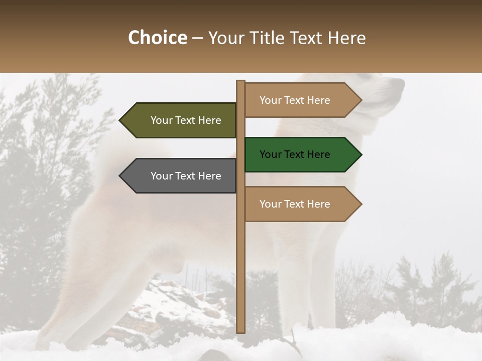 A Brown And White Dog Standing In The Snow PowerPoint Template