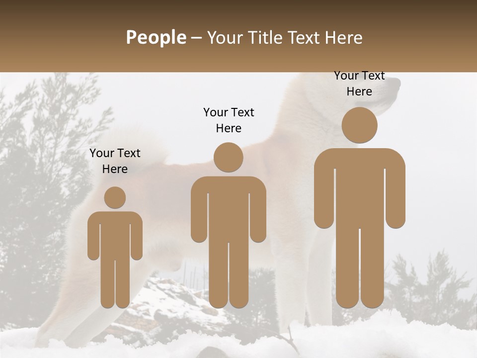 A Brown And White Dog Standing In The Snow PowerPoint Template