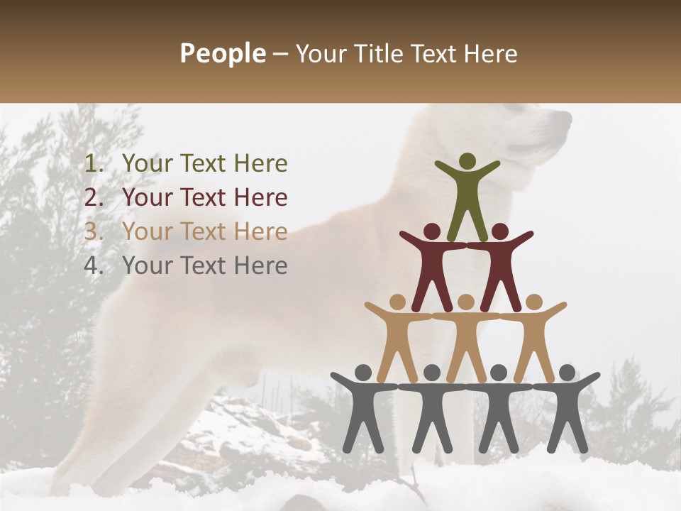 A Brown And White Dog Standing In The Snow PowerPoint Template