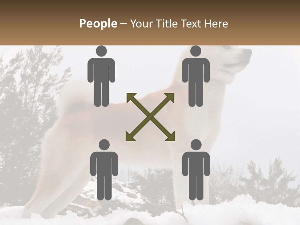 A Brown And White Dog Standing In The Snow PowerPoint Template