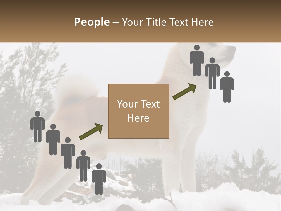 A Brown And White Dog Standing In The Snow PowerPoint Template