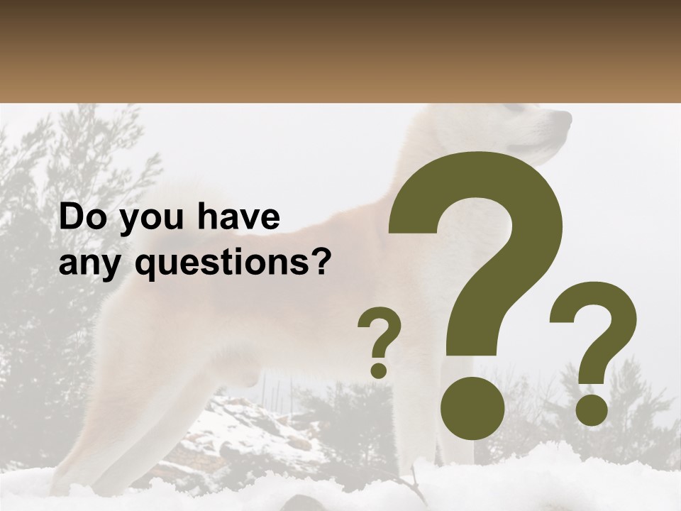 A Brown And White Dog Standing In The Snow PowerPoint Template