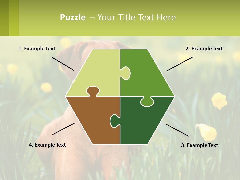 A Brown Dog Sitting In A Field Of Yellow Flowers PowerPoint Template