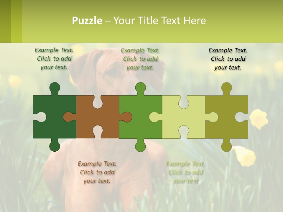 A Brown Dog Sitting In A Field Of Yellow Flowers PowerPoint Template