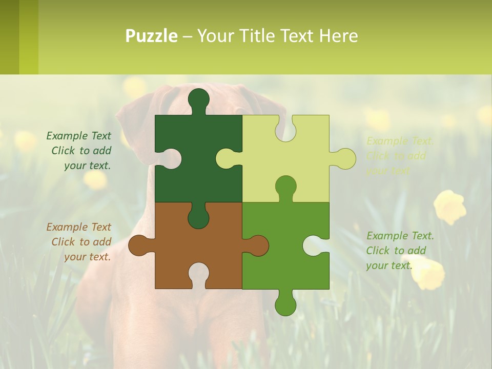 A Brown Dog Sitting In A Field Of Yellow Flowers PowerPoint Template