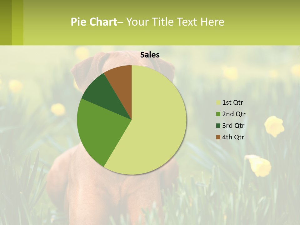 A Brown Dog Sitting In A Field Of Yellow Flowers PowerPoint Template