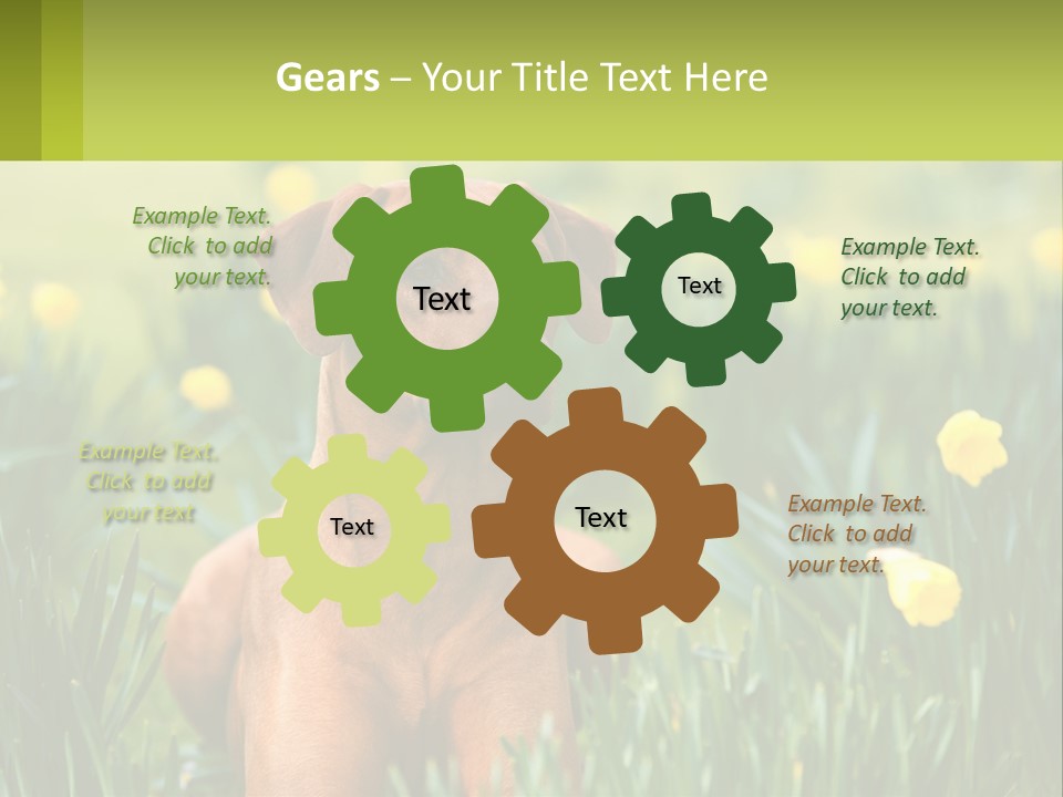 A Brown Dog Sitting In A Field Of Yellow Flowers PowerPoint Template