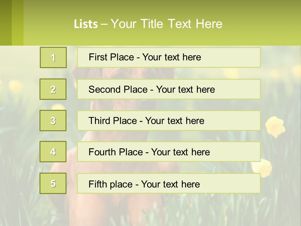 A Brown Dog Sitting In A Field Of Yellow Flowers PowerPoint Template