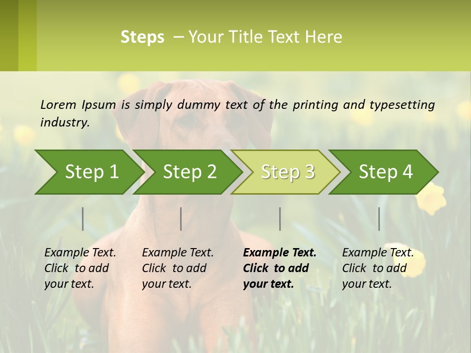 A Brown Dog Sitting In A Field Of Yellow Flowers PowerPoint Template