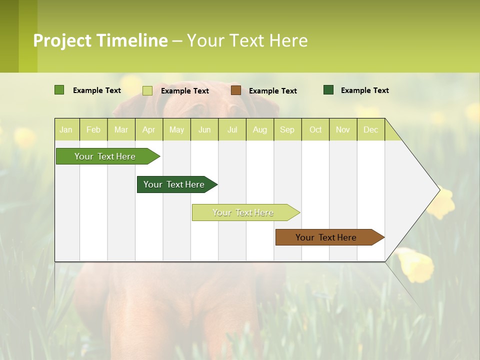 A Brown Dog Sitting In A Field Of Yellow Flowers PowerPoint Template