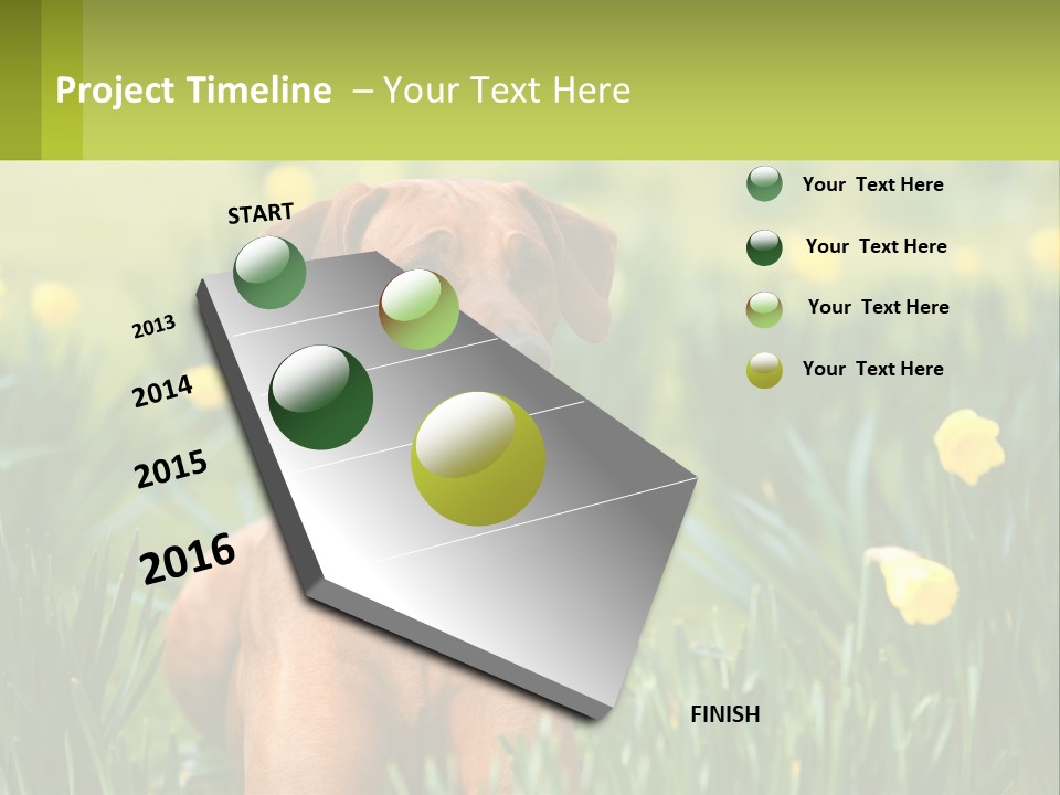 A Brown Dog Sitting In A Field Of Yellow Flowers PowerPoint Template