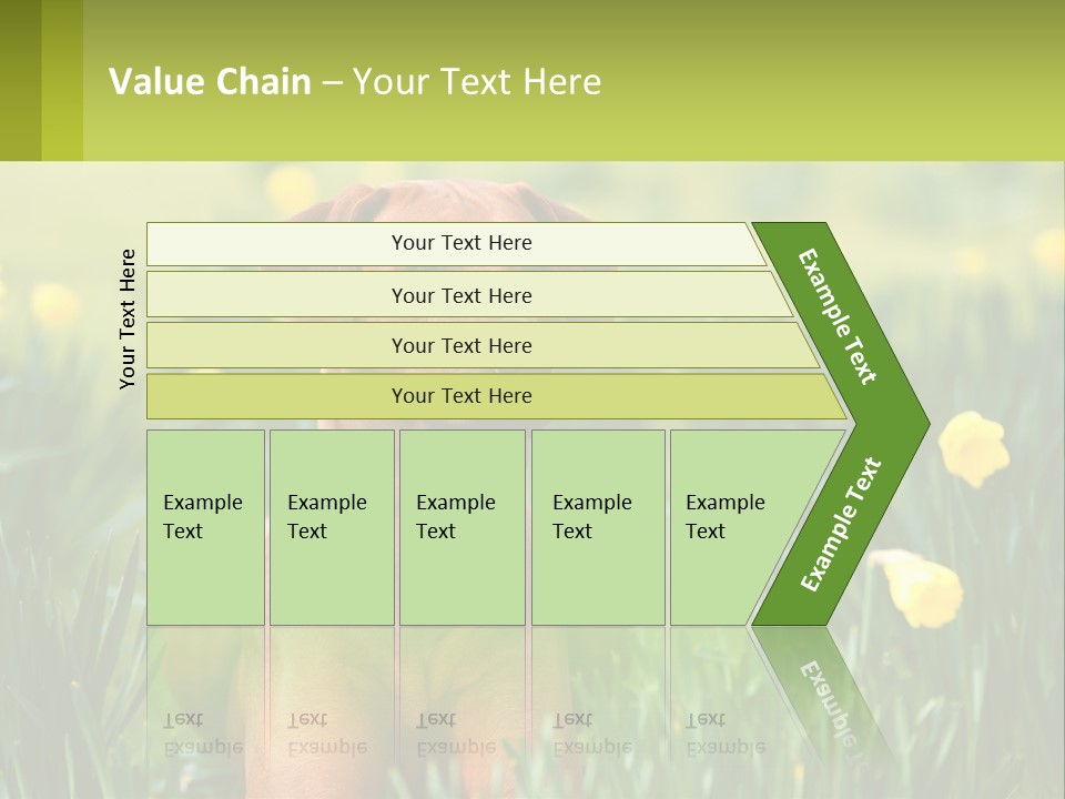 A Brown Dog Sitting In A Field Of Yellow Flowers PowerPoint Template