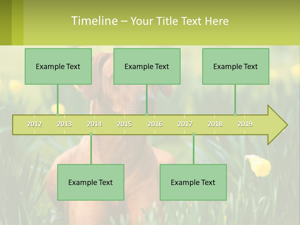 A Brown Dog Sitting In A Field Of Yellow Flowers PowerPoint Template