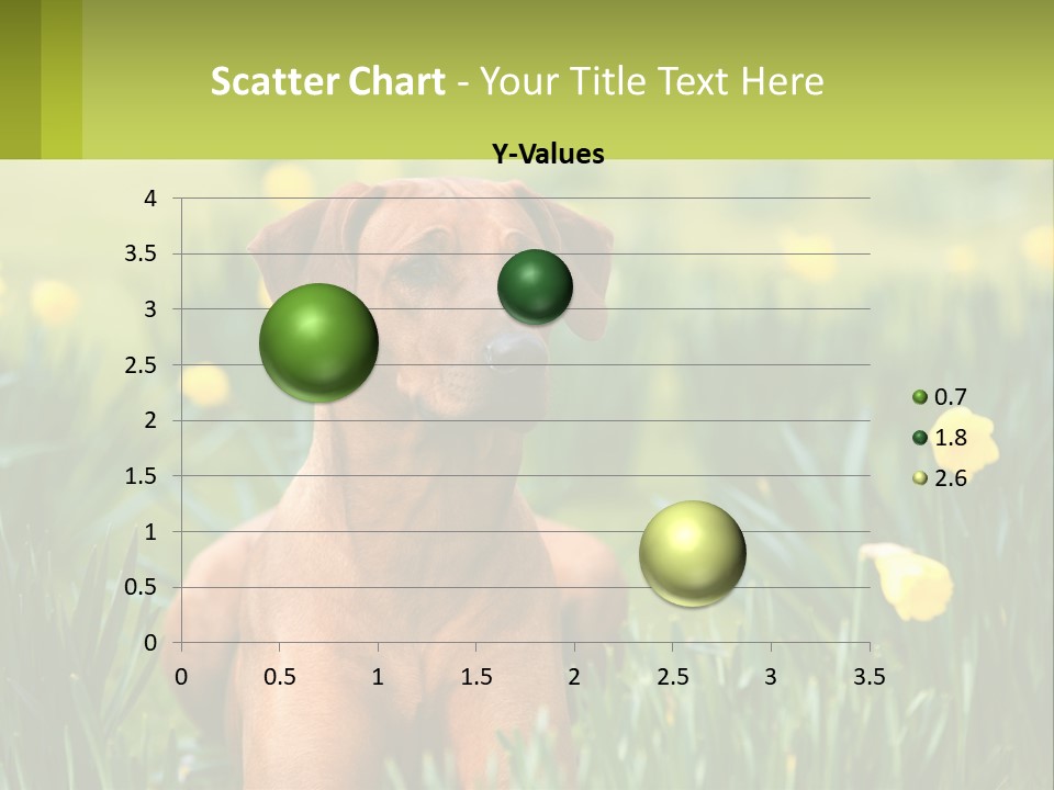 A Brown Dog Sitting In A Field Of Yellow Flowers PowerPoint Template
