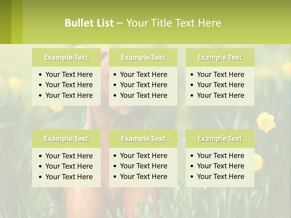 A Brown Dog Sitting In A Field Of Yellow Flowers PowerPoint Template