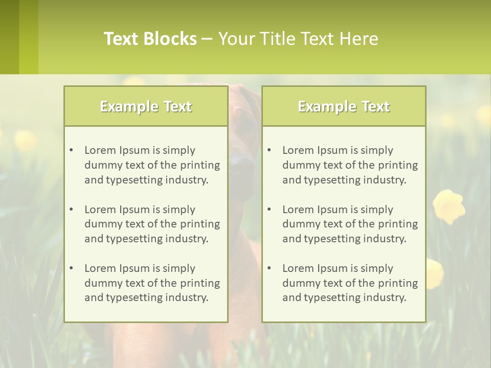 A Brown Dog Sitting In A Field Of Yellow Flowers PowerPoint Template