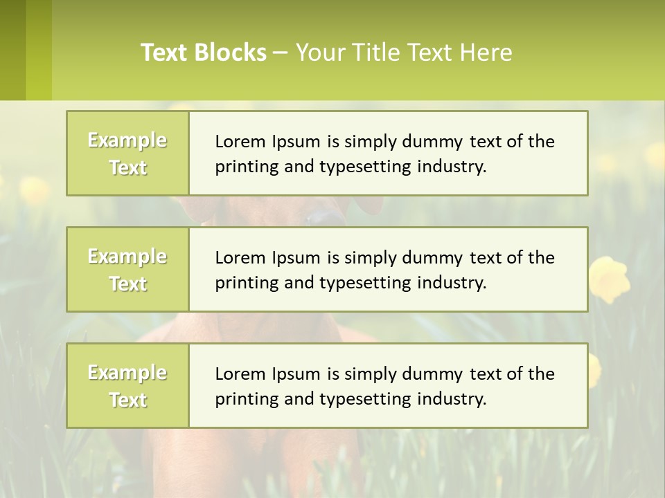 A Brown Dog Sitting In A Field Of Yellow Flowers PowerPoint Template