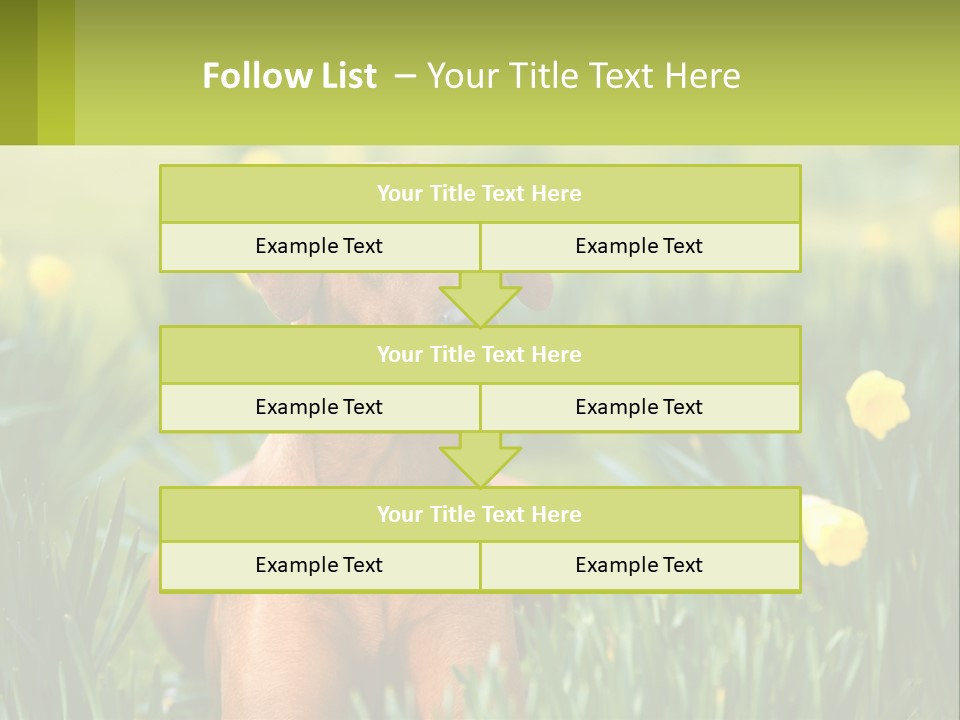 A Brown Dog Sitting In A Field Of Yellow Flowers PowerPoint Template