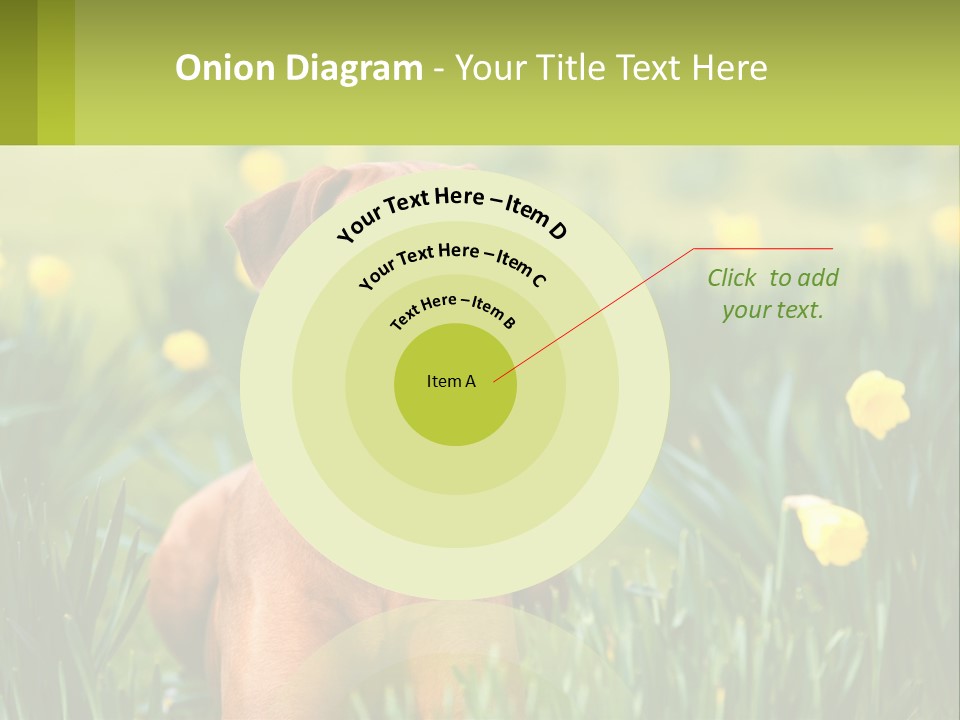 A Brown Dog Sitting In A Field Of Yellow Flowers PowerPoint Template