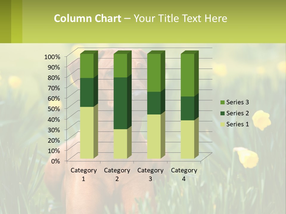 A Brown Dog Sitting In A Field Of Yellow Flowers PowerPoint Template