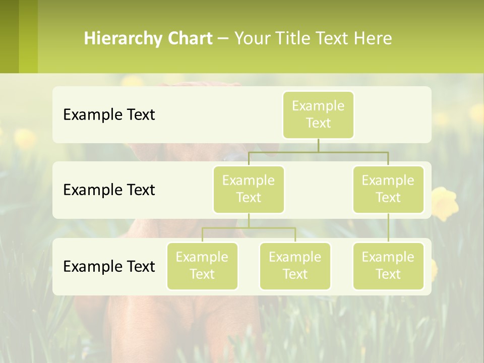 A Brown Dog Sitting In A Field Of Yellow Flowers PowerPoint Template