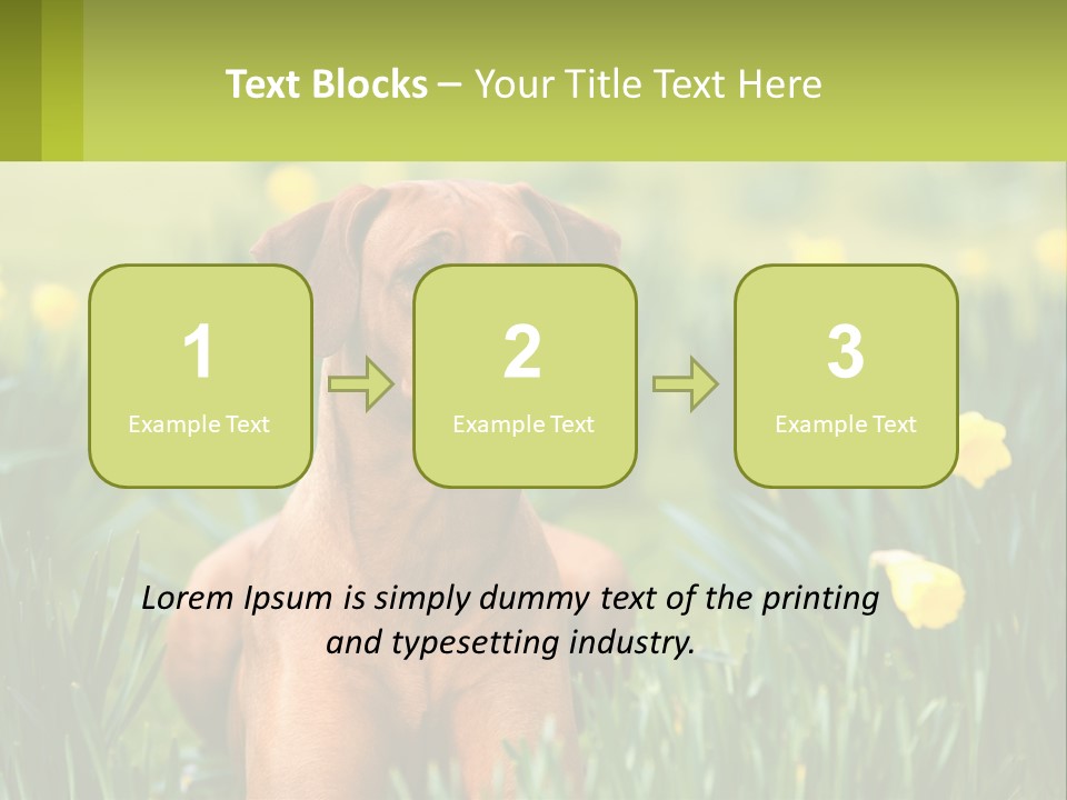 A Brown Dog Sitting In A Field Of Yellow Flowers PowerPoint Template
