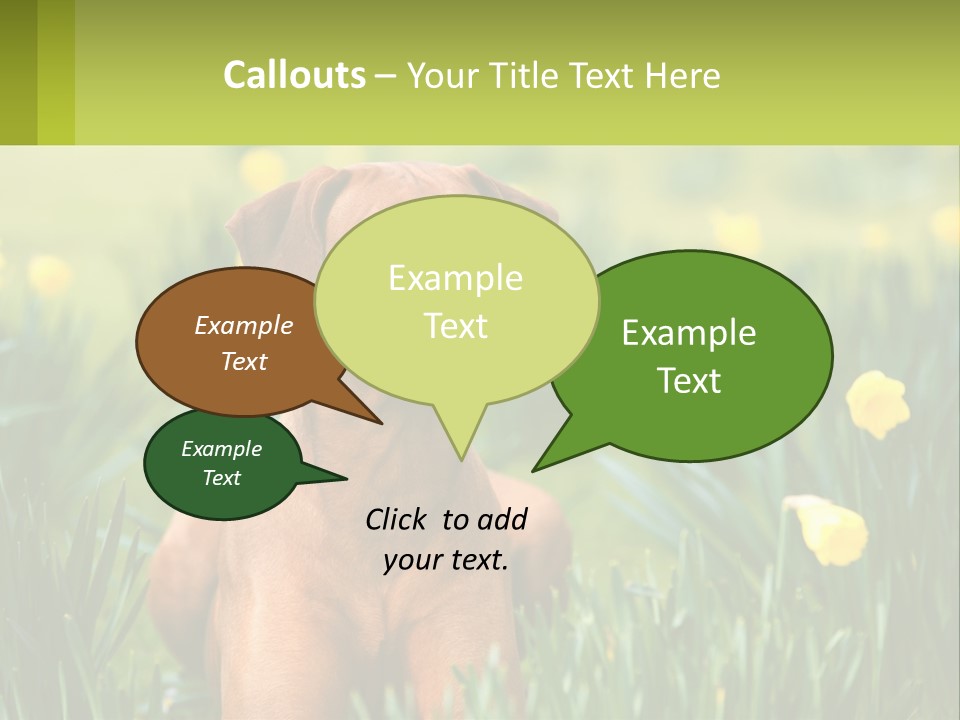 A Brown Dog Sitting In A Field Of Yellow Flowers PowerPoint Template