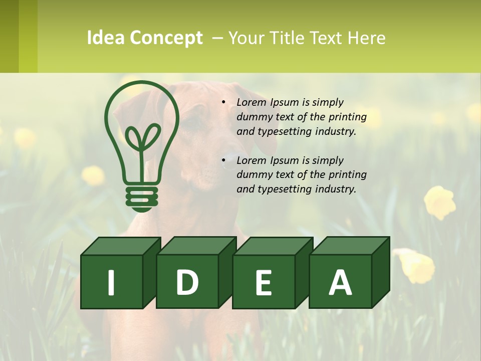 A Brown Dog Sitting In A Field Of Yellow Flowers PowerPoint Template