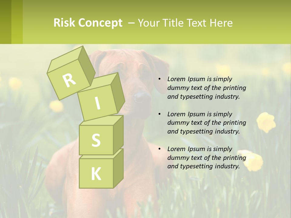 A Brown Dog Sitting In A Field Of Yellow Flowers PowerPoint Template