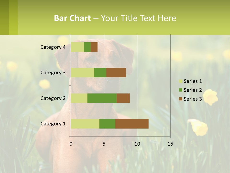 A Brown Dog Sitting In A Field Of Yellow Flowers PowerPoint Template