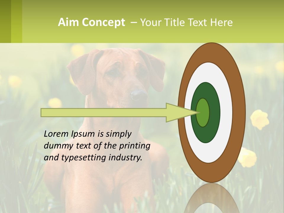 A Brown Dog Sitting In A Field Of Yellow Flowers PowerPoint Template