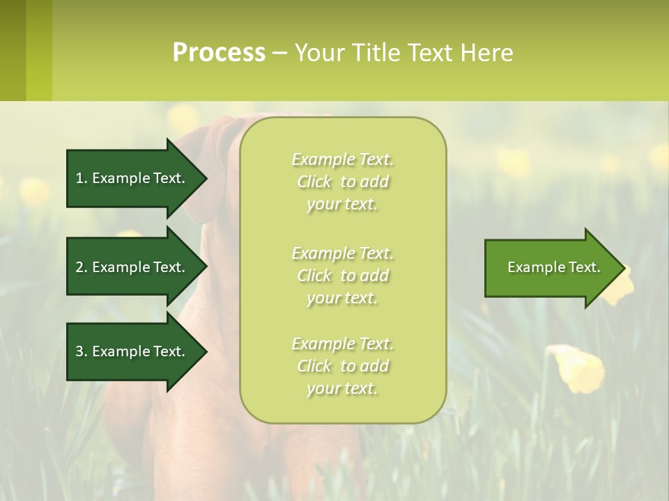 A Brown Dog Sitting In A Field Of Yellow Flowers PowerPoint Template