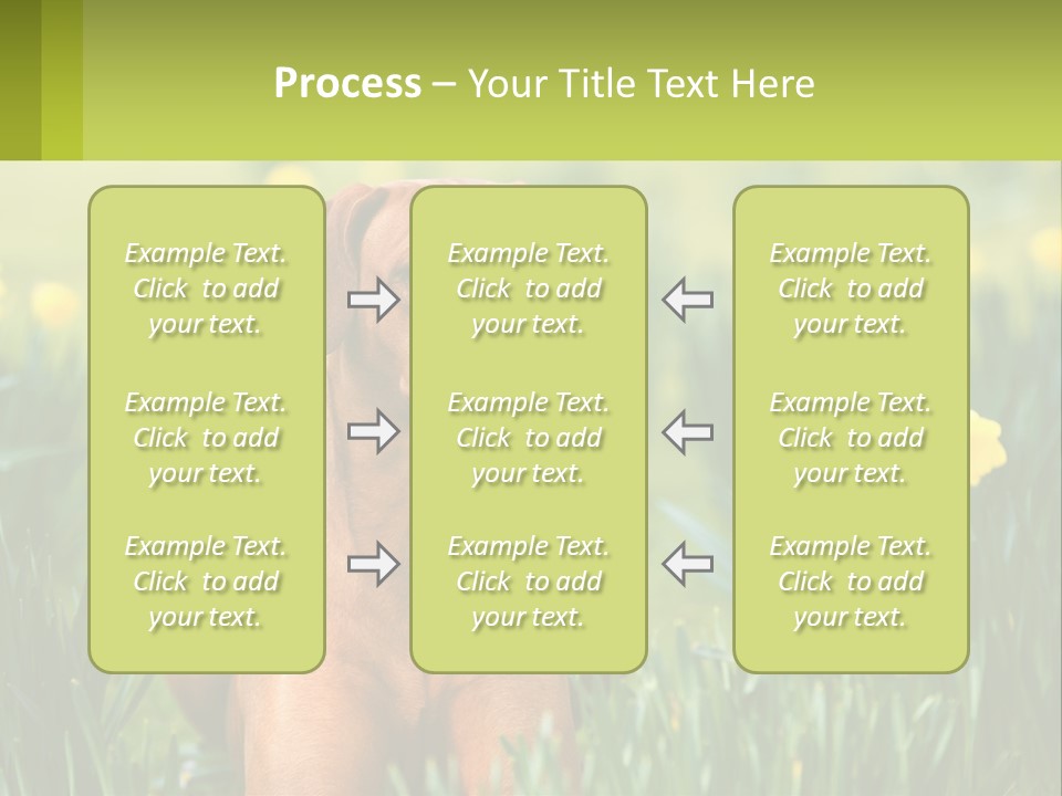 A Brown Dog Sitting In A Field Of Yellow Flowers PowerPoint Template