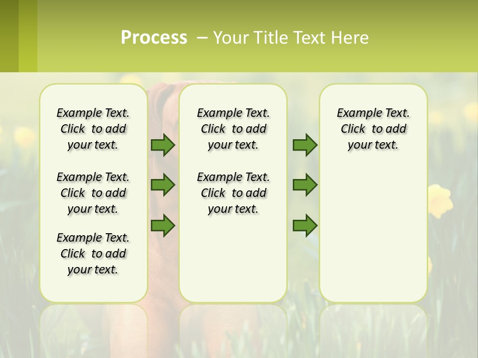 A Brown Dog Sitting In A Field Of Yellow Flowers PowerPoint Template
