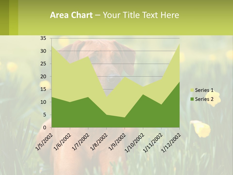 A Brown Dog Sitting In A Field Of Yellow Flowers PowerPoint Template