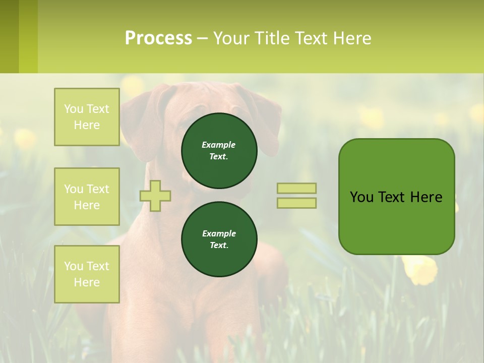 A Brown Dog Sitting In A Field Of Yellow Flowers PowerPoint Template