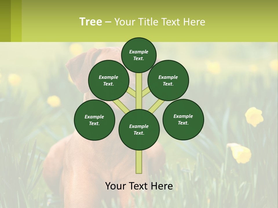 A Brown Dog Sitting In A Field Of Yellow Flowers PowerPoint Template