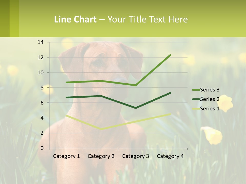 A Brown Dog Sitting In A Field Of Yellow Flowers PowerPoint Template