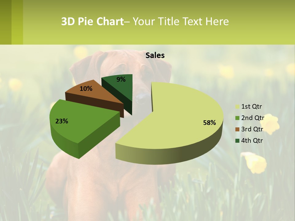 A Brown Dog Sitting In A Field Of Yellow Flowers PowerPoint Template