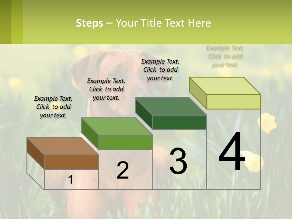 A Brown Dog Sitting In A Field Of Yellow Flowers PowerPoint Template