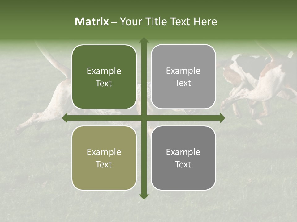 A Group Of Dogs Running In A Field Of Grass PowerPoint Template