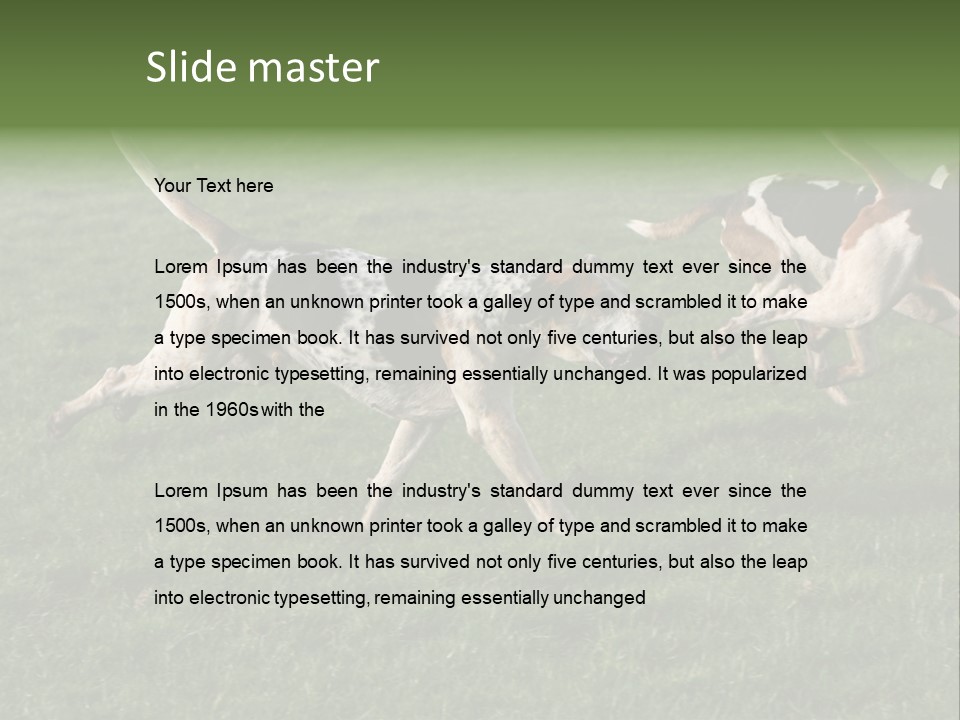 A Group Of Dogs Running In A Field Of Grass PowerPoint Template