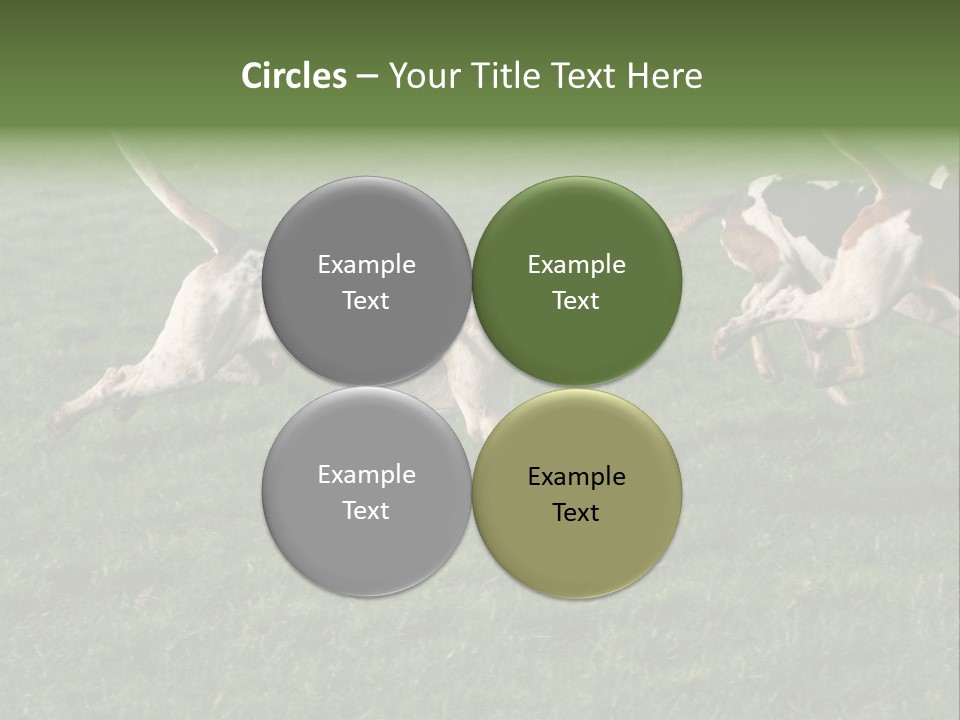 A Group Of Dogs Running In A Field Of Grass PowerPoint Template