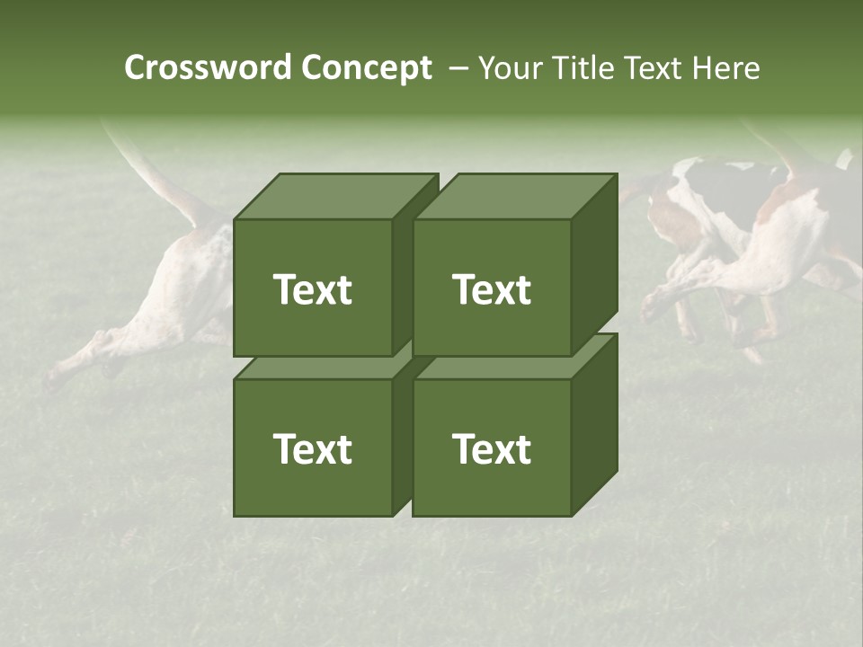 A Group Of Dogs Running In A Field Of Grass PowerPoint Template