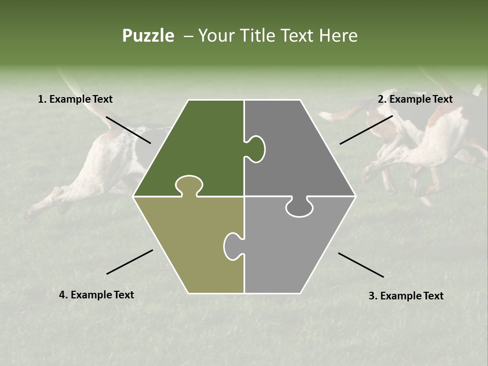 A Group Of Dogs Running In A Field Of Grass PowerPoint Template