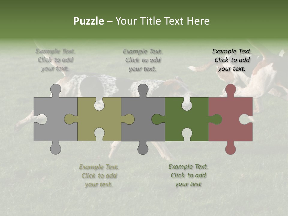 A Group Of Dogs Running In A Field Of Grass PowerPoint Template